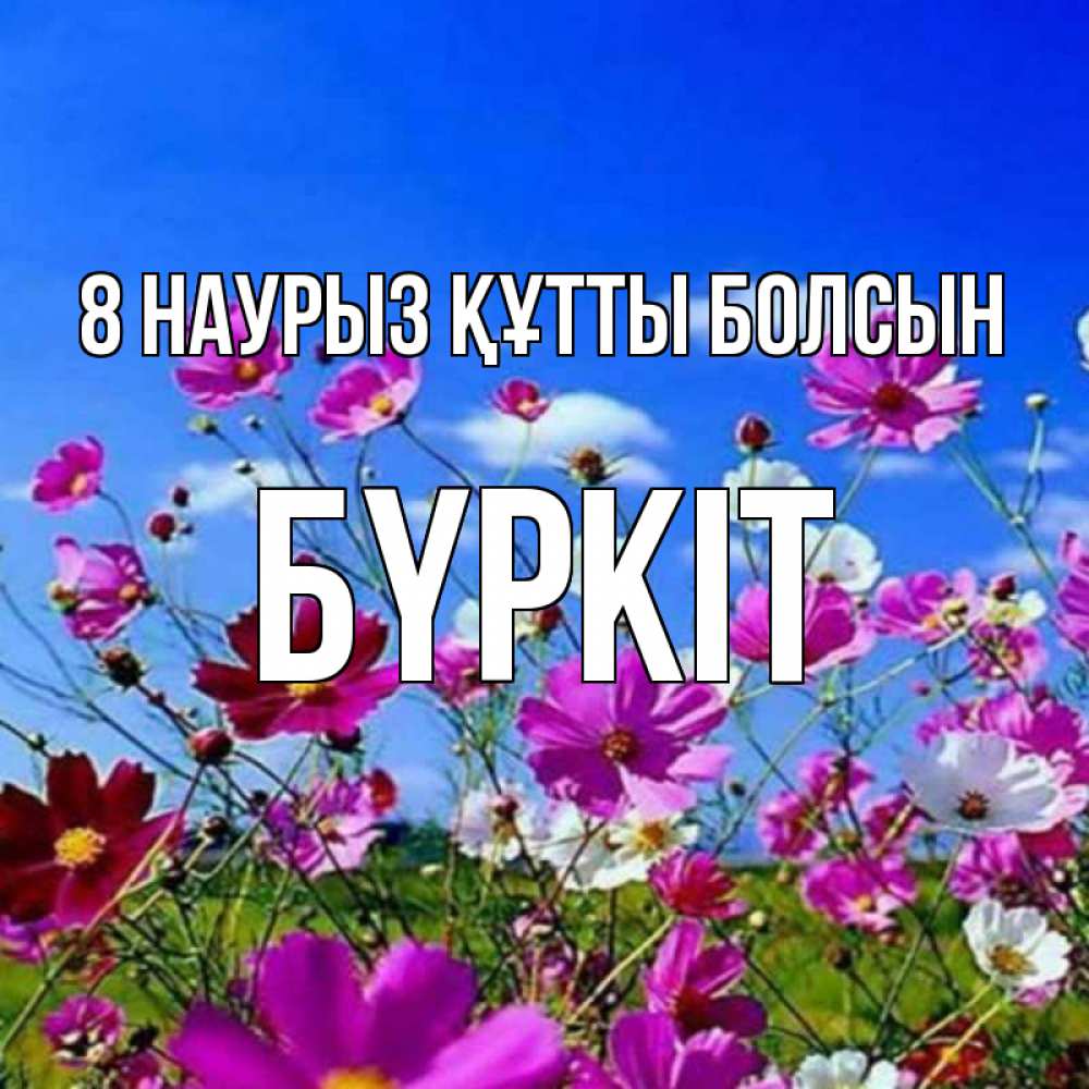 Күн сайын ашық хат с именем, Бүркіт 8 наурыз құтты болсын цветы Онлайн тегін жүктеп алу тілектері бар керемет карта 