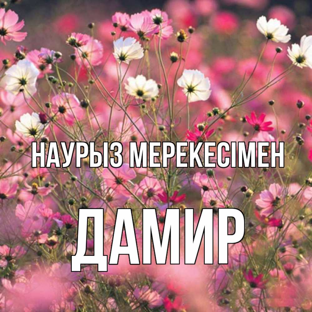 Күн сайын ашық хат с именем, Дамир Наурыз мерекесімен красиво 1 Онлайн тегін жүктеп алу тілектері бар керемет карта 