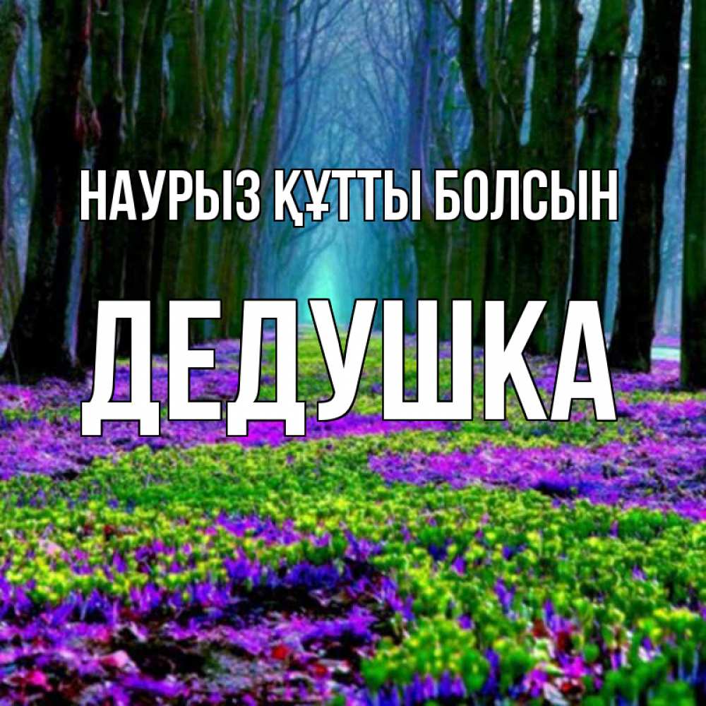 Күн сайын ашық хат с именем, Дедушка Наурыз құтты болсын фиолетовые цветы в лесу 1 Онлайн тегін жүктеп алу тілектері бар керемет карта 