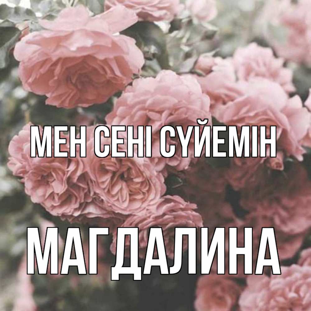 Күн сайын ашық хат с именем, Магдалина Мен сені сүйемін розы 3 Онлайн тегін жүктеп алу тілектері бар керемет карта 