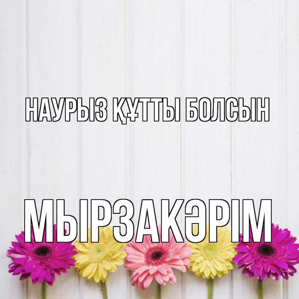Күн сайын ашық хат с именем, Мырзакәрім Наурыз құтты болсын женщинам 1 Онлайн тегін жүктеп алу тілектері бар керемет карта 