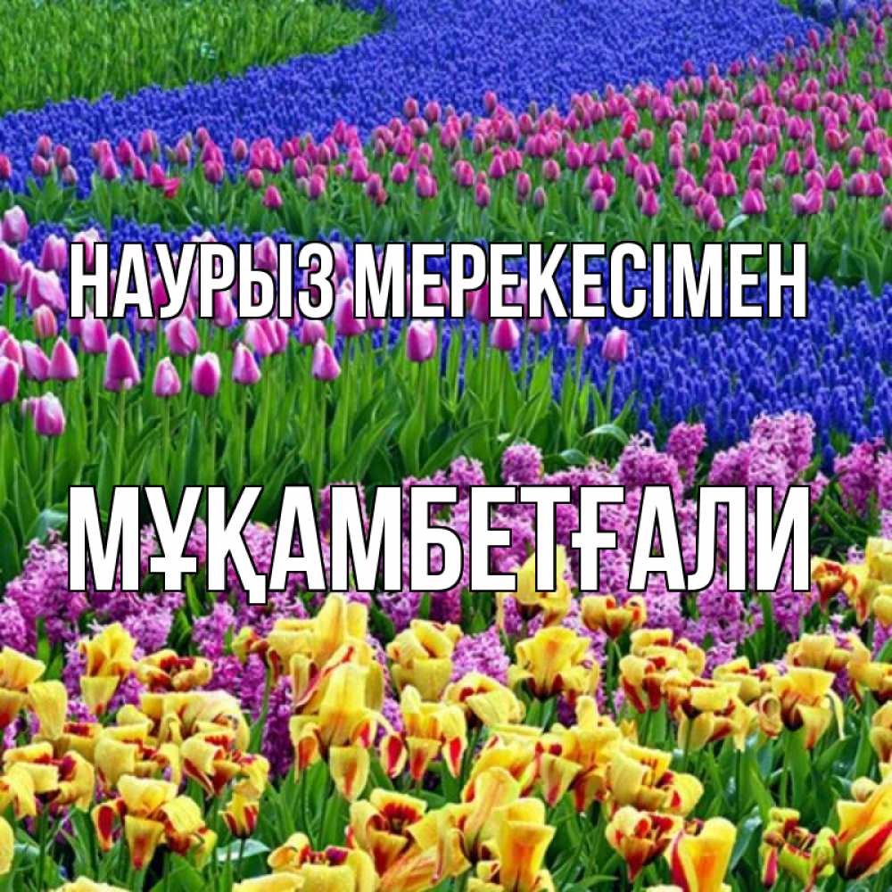 Күн сайын ашық хат с именем, Мұқамбетғали Наурыз мерекесімен цветы Онлайн тегін жүктеп алу тілектері бар керемет карта 