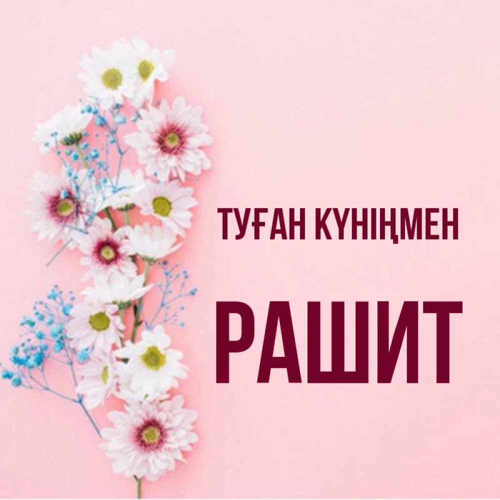 Күн сайын ашық хат с именем, РАШИТ Туған күніңмен Родная моя с днем рождения тебя картинка с цветами белыми и голубыми Онлайн тегін жүктеп алу тілектері бар керемет карта 