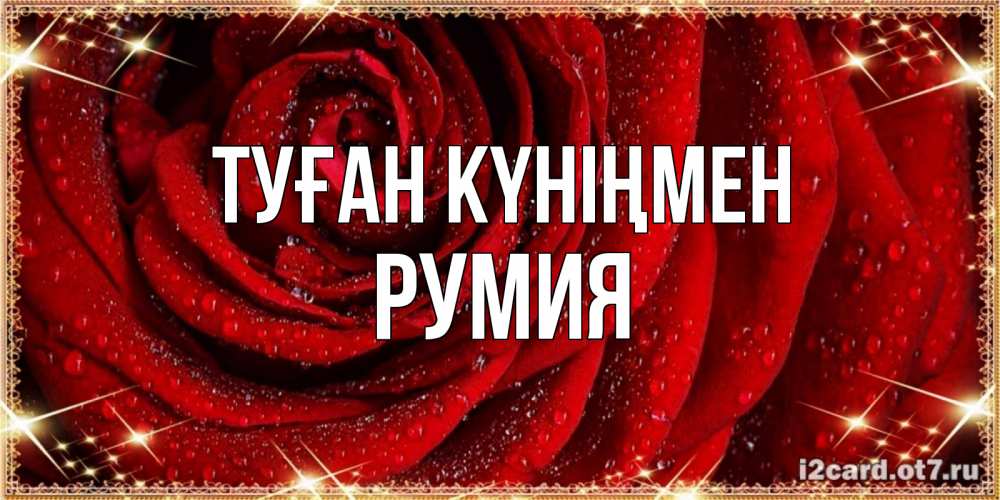 Күн сайын ашық хат с именем, Румия Туған күніңмен роса на розе блестящая в лучах солнца Онлайн тегін жүктеп алу тілектері бар керемет карта 