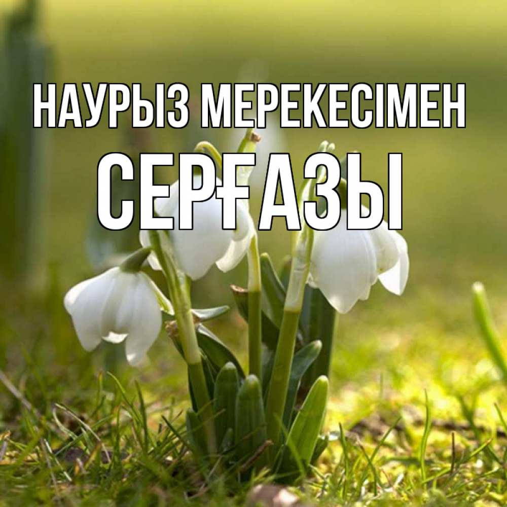 Күн сайын ашық хат с именем, СЕРҒАЗЫ Наурыз мерекесімен ранние цветы 2 Онлайн тегін жүктеп алу тілектері бар керемет карта 