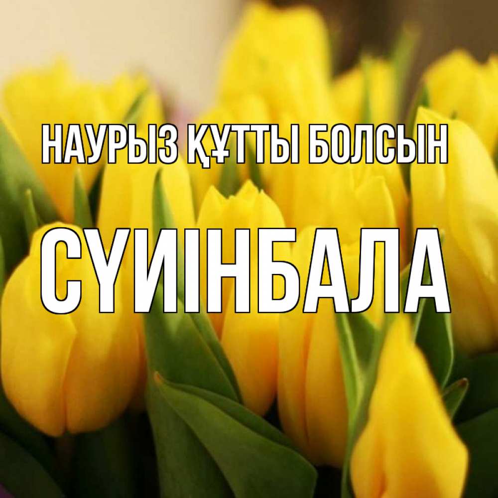 Күн сайын ашық хат с именем, СҮИІНБАЛА Наурыз құтты болсын цветы Онлайн тегін жүктеп алу тілектері бар керемет карта 