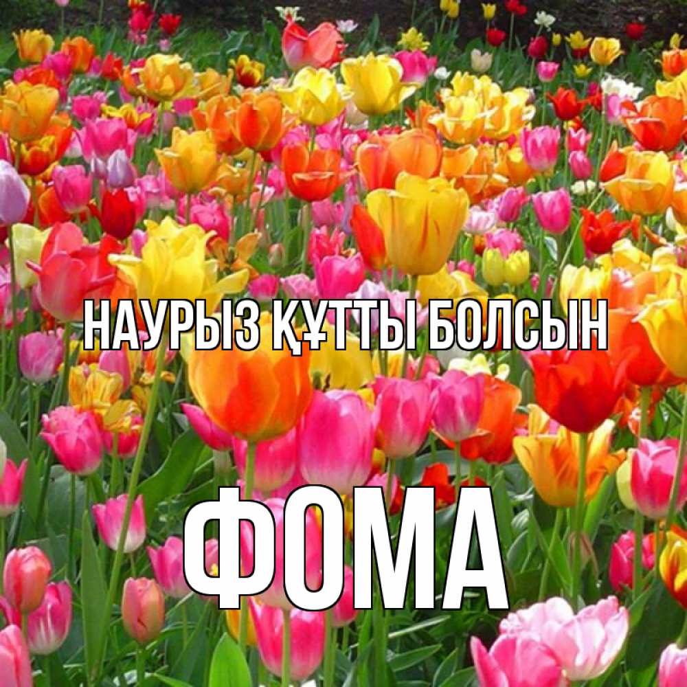 Күн сайын ашық хат с именем, Фома Наурыз құтты болсын на наурыз  ура ура Онлайн тегін жүктеп алу тілектері бар керемет карта 
