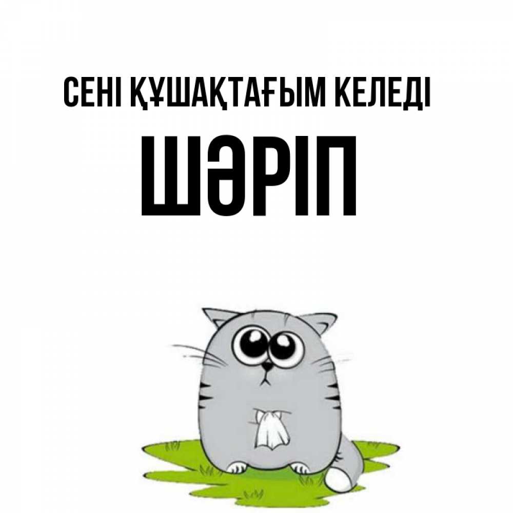 Күн сайын ашық хат с именем, ШӘРІП сені құшақтағым келеді котик теребит платочек сидя на травке Онлайн тегін жүктеп алу тілектері бар керемет карта 