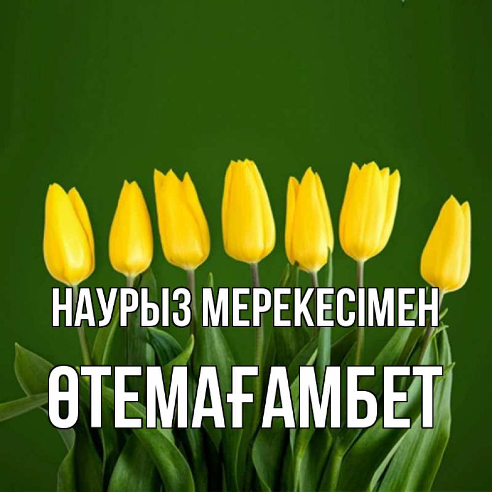 Күн сайын ашық хат с именем, ӨТЕМАҒАМБЕТ Наурыз мерекесімен желтого цвета 3 Онлайн тегін жүктеп алу тілектері бар керемет карта 