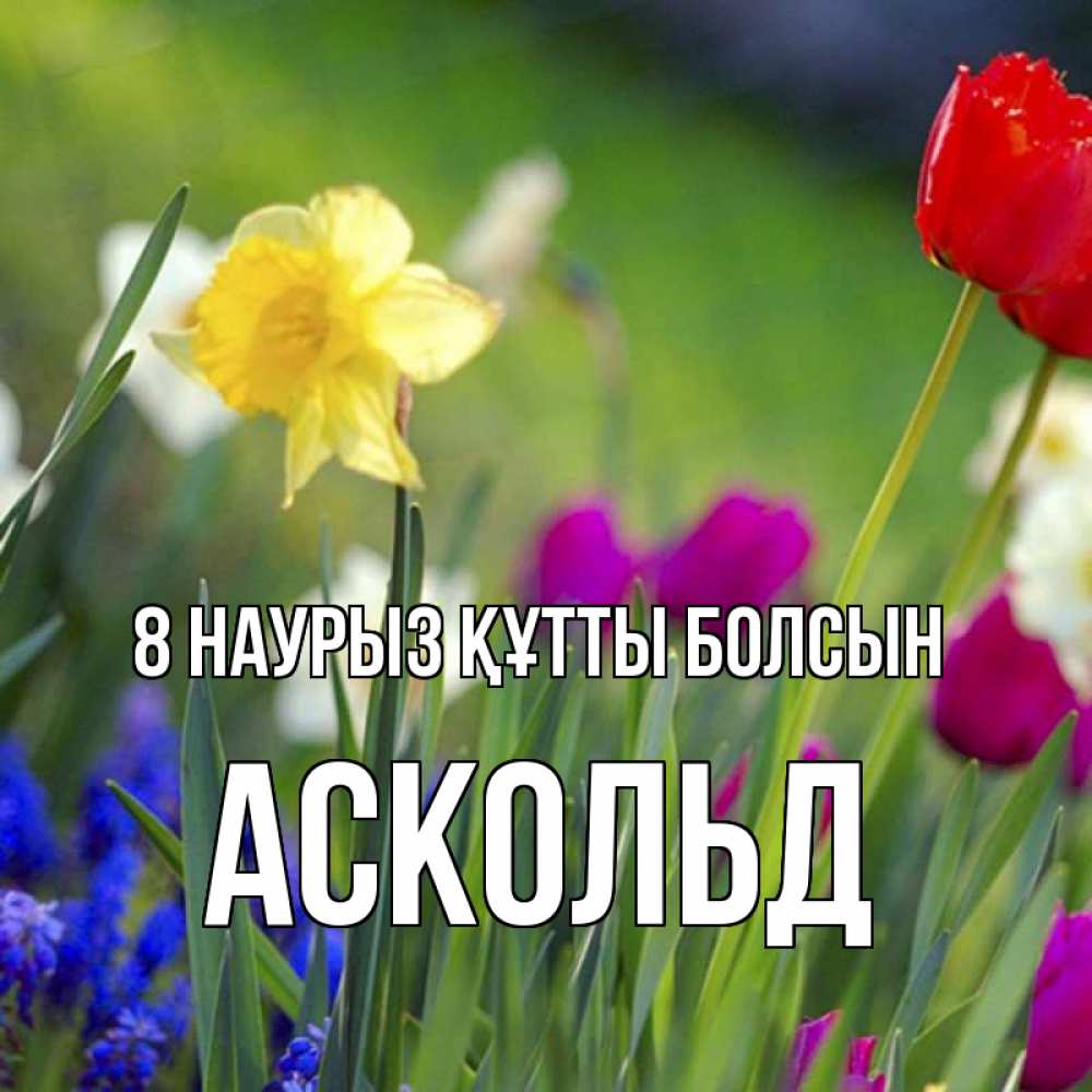 Күн сайын ашық хат с именем, Аскольд 8 наурыз құтты болсын международный женский день 3 Онлайн тегін жүктеп алу тілектері бар керемет карта 