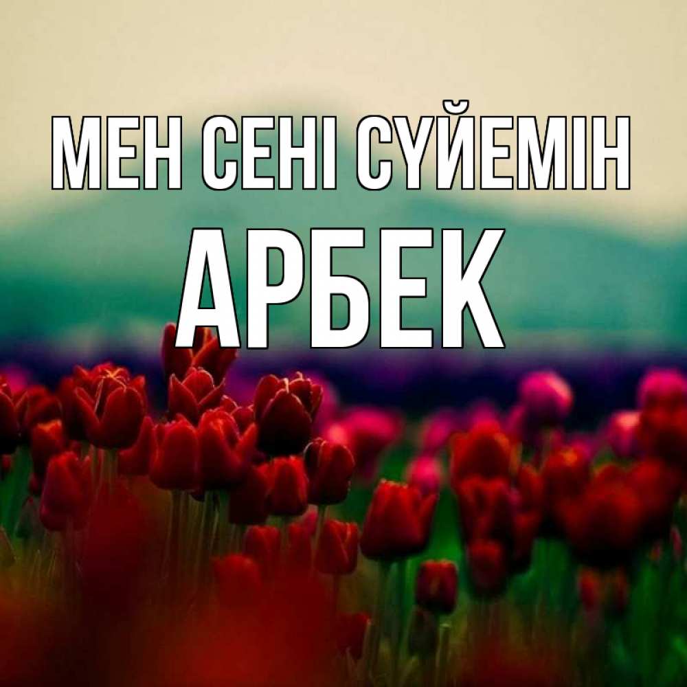 Күн сайын ашық хат с именем, Арбек Мен сені сүйемін тюльпаны 4 Онлайн тегін жүктеп алу тілектері бар керемет карта 