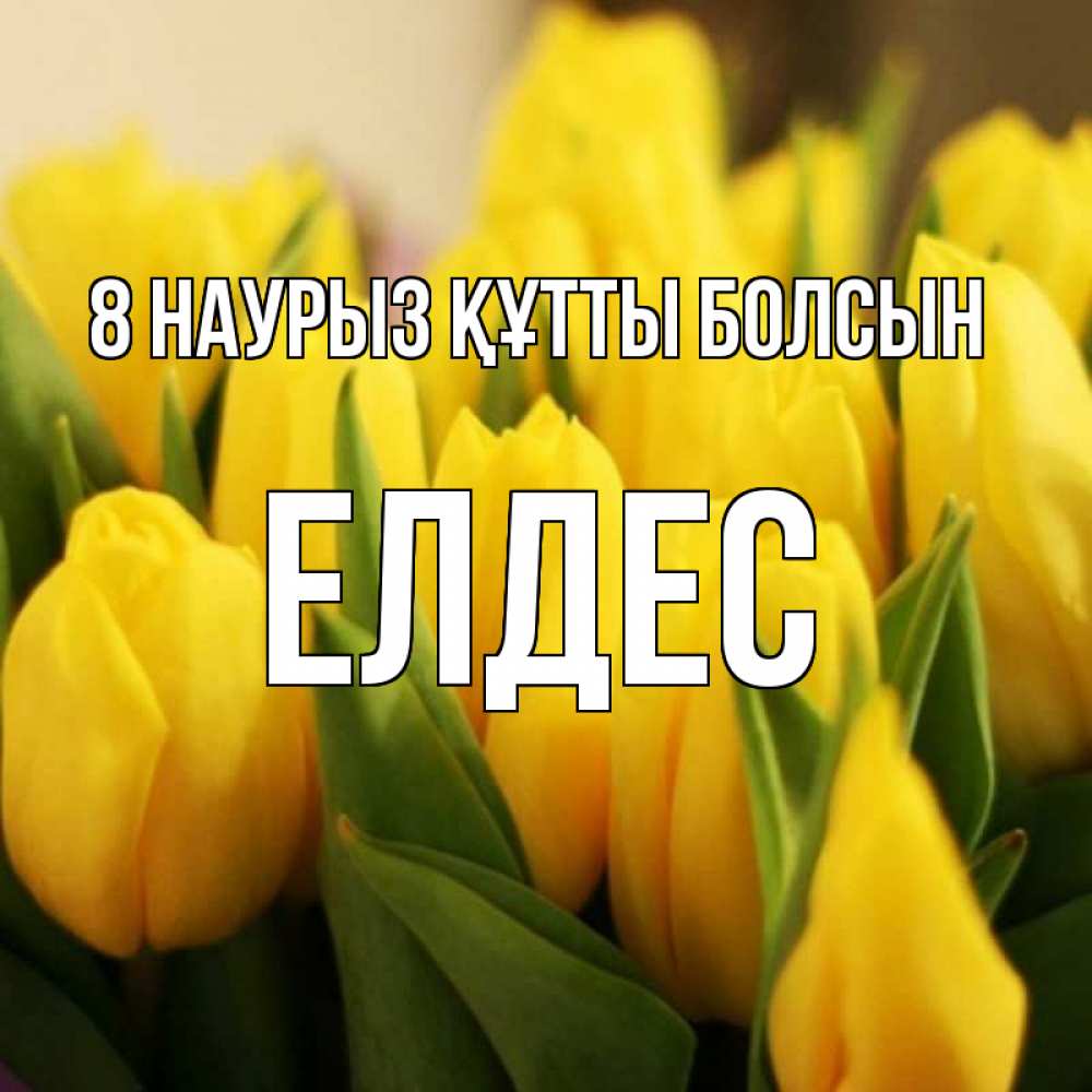 Күн сайын ашық хат с именем, Елдес 8 наурыз құтты болсын цветы Онлайн тегін жүктеп алу тілектері бар керемет карта 