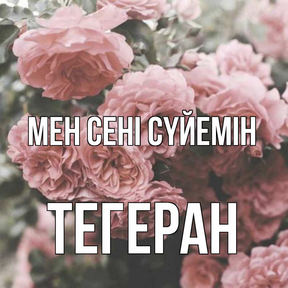 Күн сайын ашық хат с именем, ТЕГЕРАН Мен сені сүйемін розы 3 Онлайн тегін жүктеп алу тілектері бар керемет карта 