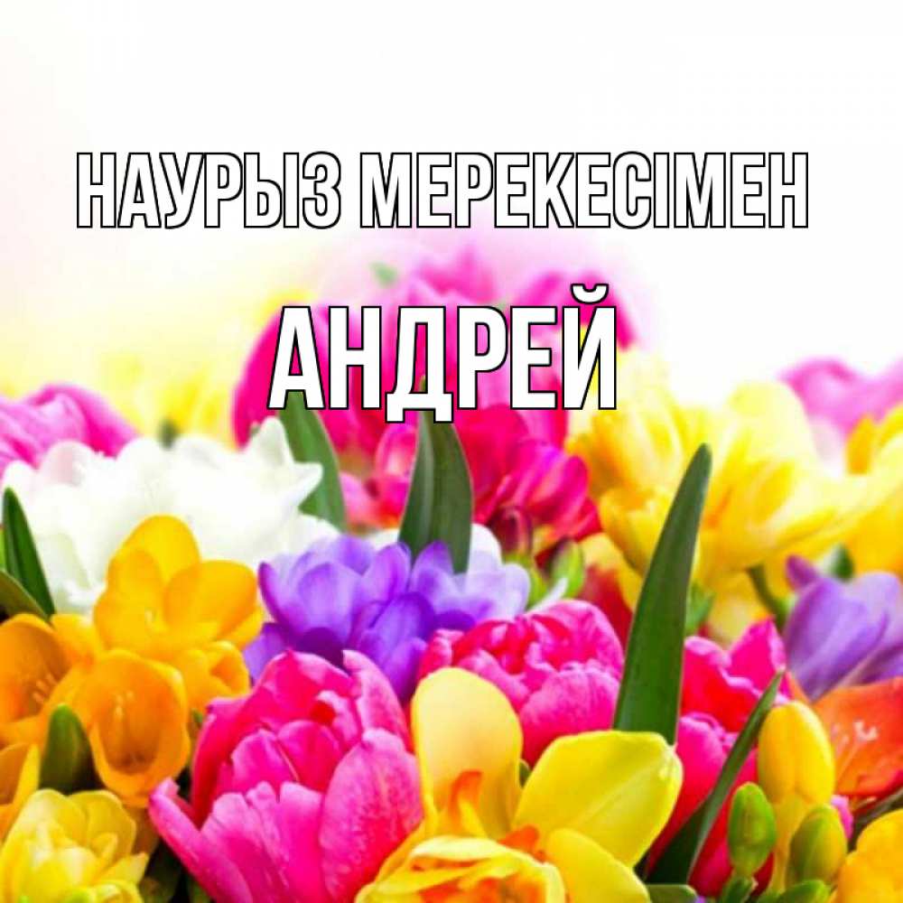 Күн сайын ашық хат с именем, Андрей Наурыз мерекесімен тюльпаны Онлайн тегін жүктеп алу тілектері бар керемет карта 