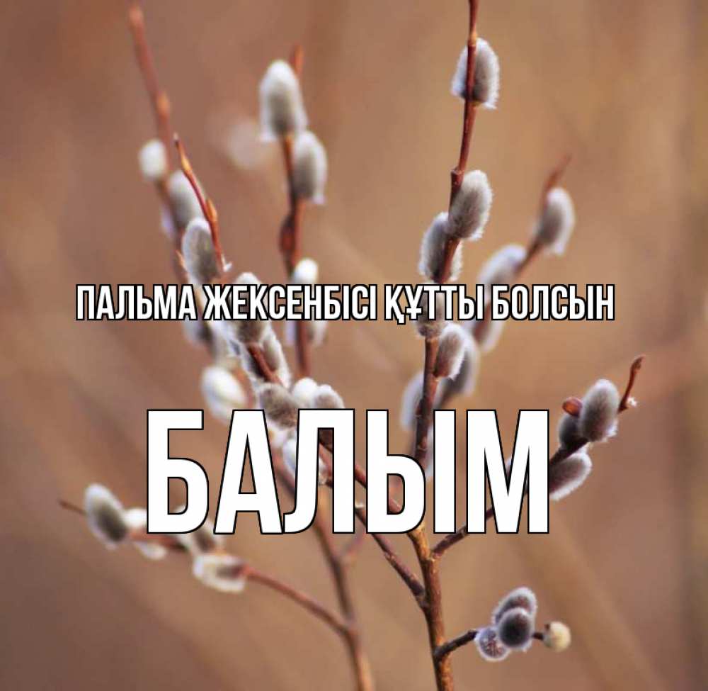 Күн сайын ашық хат с именем, БАЛЫМ Пальма жексенбісі құтты болсын верба Онлайн тегін жүктеп алу тілектері бар керемет карта 