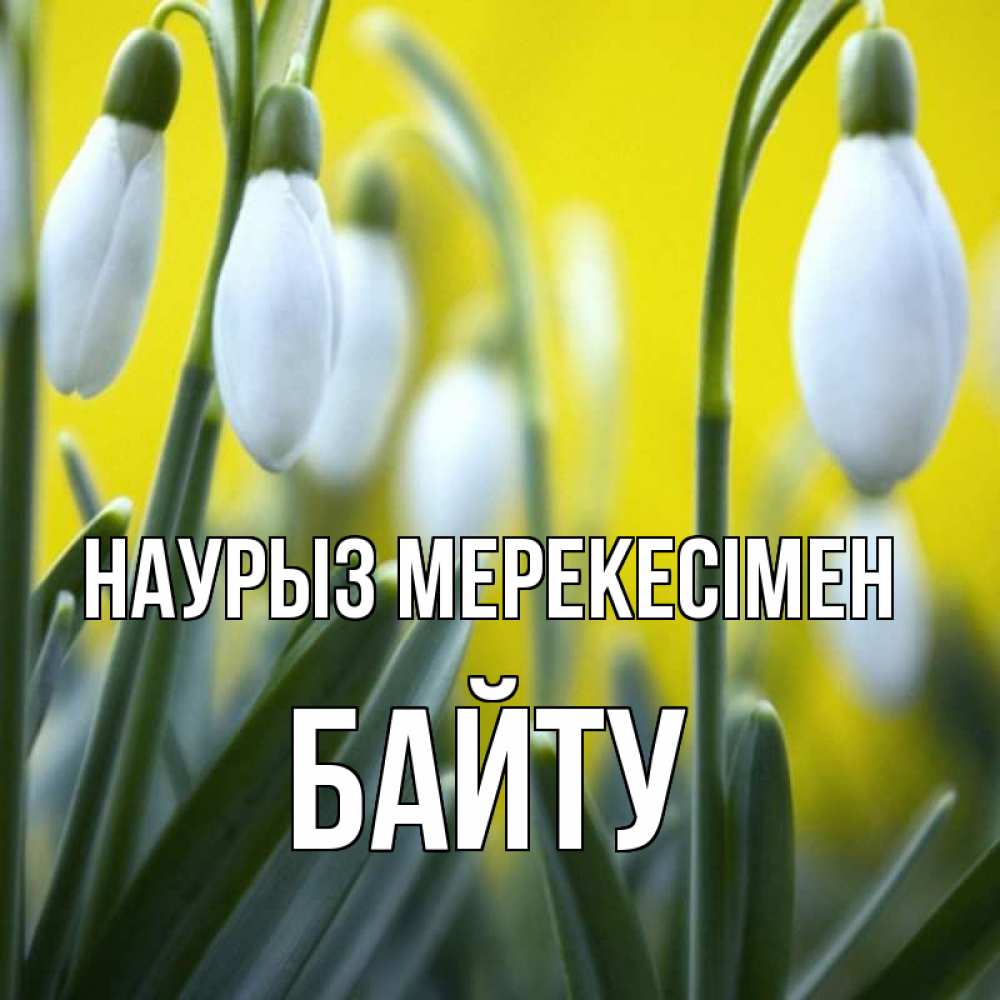 Күн сайын ашық хат с именем, Байту Наурыз мерекесімен весенние цветы Онлайн тегін жүктеп алу тілектері бар керемет карта 