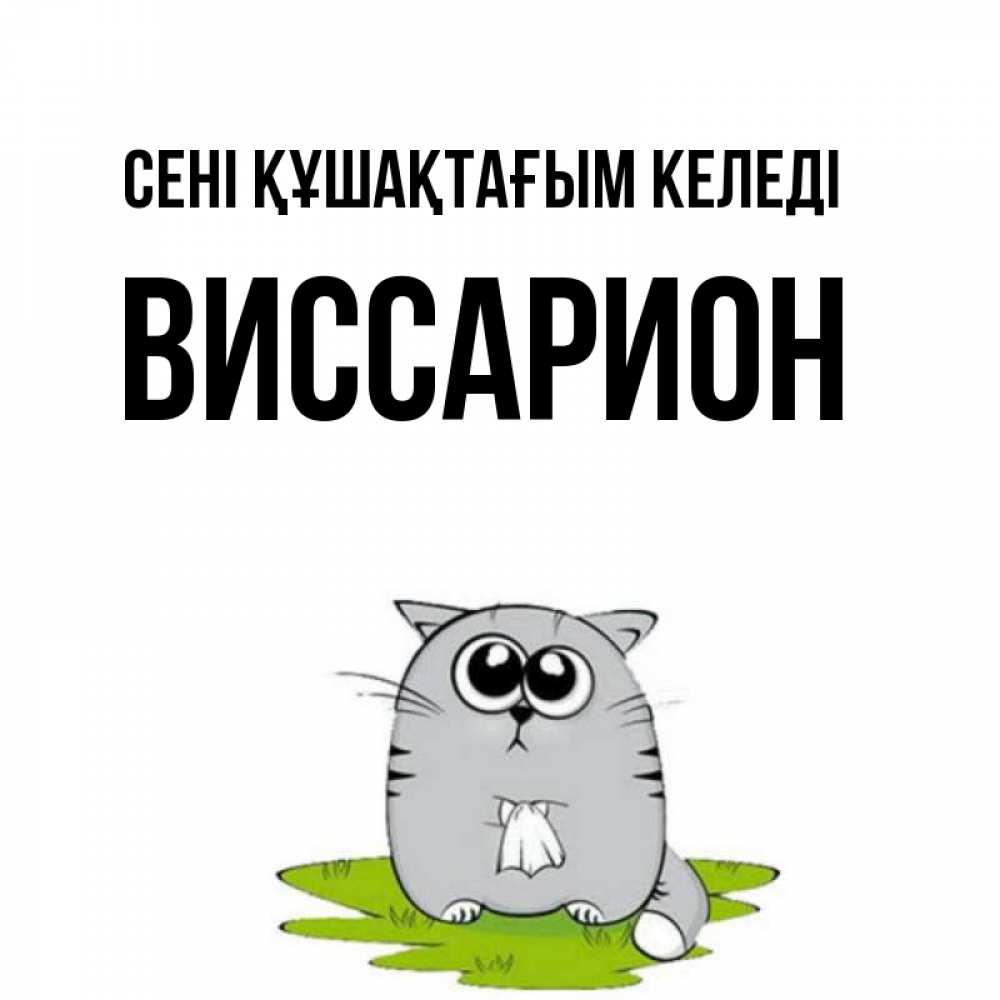 Күн сайын ашық хат с именем, Виссарион сені құшақтағым келеді котик теребит платочек сидя на травке Онлайн тегін жүктеп алу тілектері бар керемет карта 