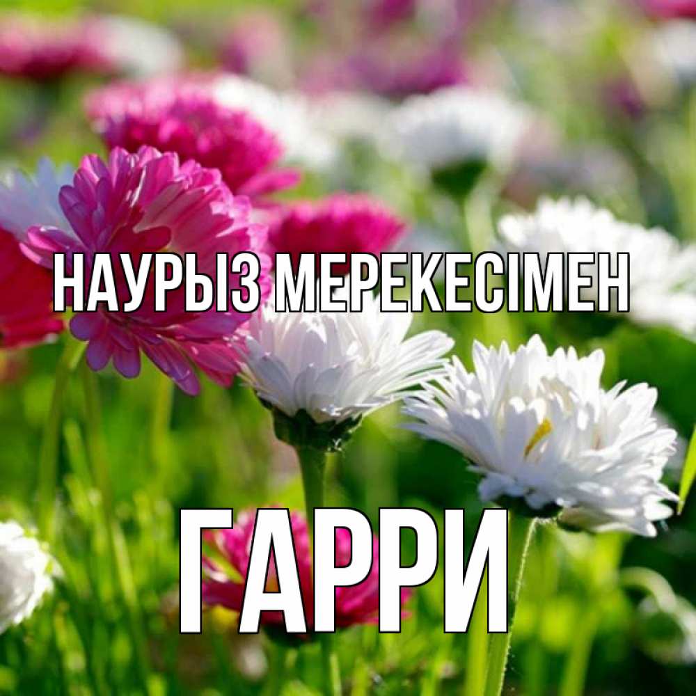 Күн сайын ашық хат с именем, Гарри Наурыз мерекесімен праздник весны наурыз красота Онлайн тегін жүктеп алу тілектері бар керемет карта 