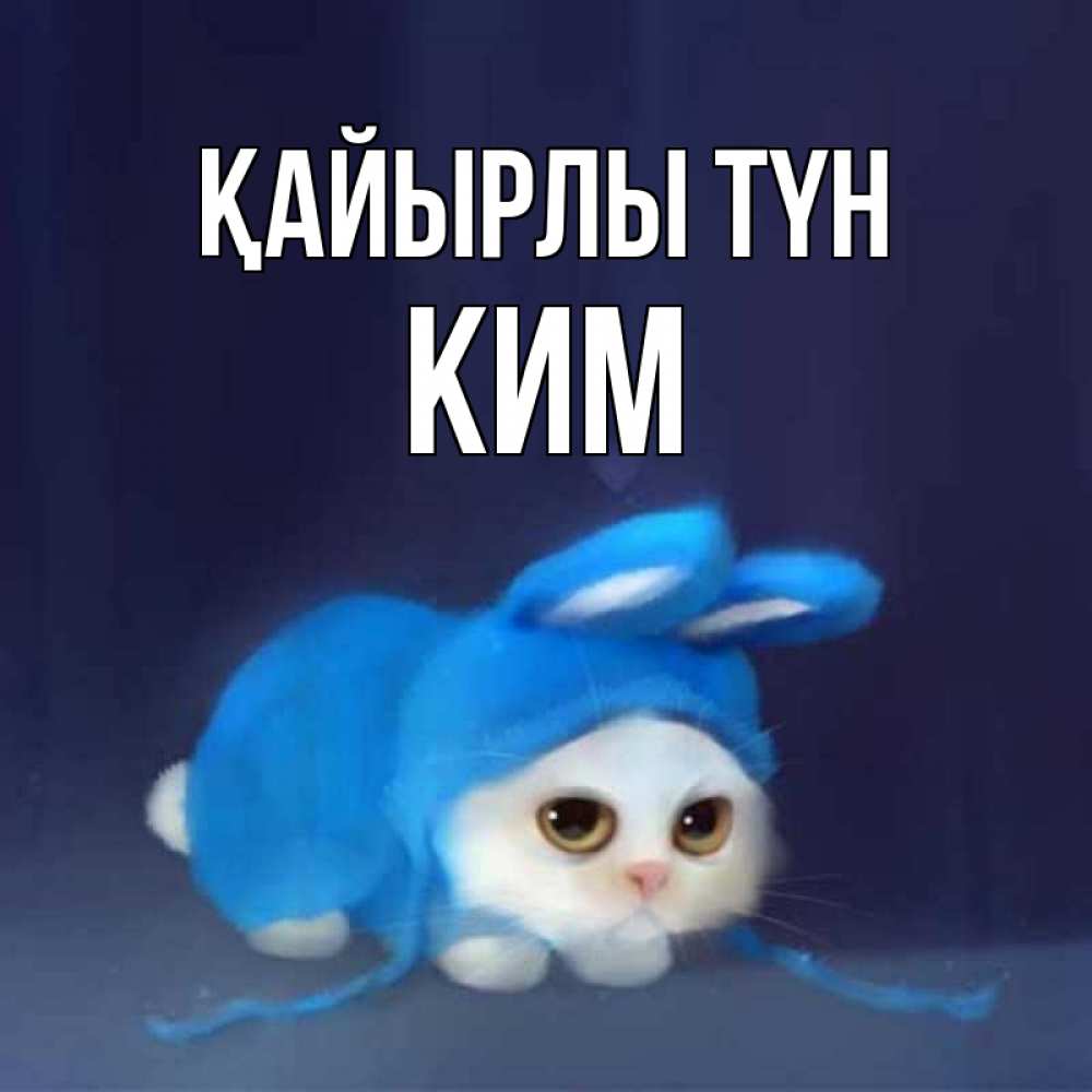 Күн сайын ашық хат с именем, Ким Қайырлы түн кот в голубом костюме кролика с ушками Онлайн тегін жүктеп алу тілектері бар керемет карта 