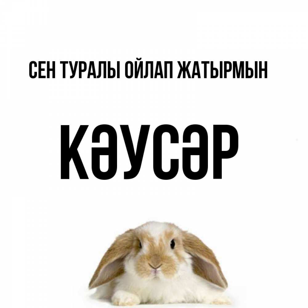 Күн сайын ашық хат с именем, КӘУСӘР Сен туралы ойлап жатырмын подписать своими руками онлайн Онлайн тегін жүктеп алу тілектері бар керемет карта 