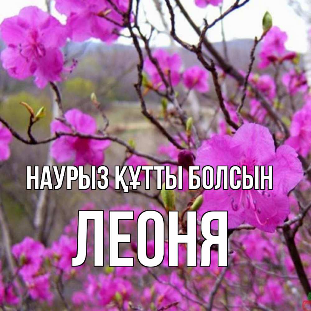 Күн сайын ашық хат с именем, Леоня Наурыз құтты болсын наурыз мейрамы кутты болсын Онлайн тегін жүктеп алу тілектері бар керемет карта 