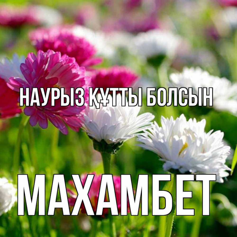 Күн сайын ашық хат с именем, МАХАМБЕТ Наурыз құтты болсын наурыз Онлайн тегін жүктеп алу тілектері бар керемет карта 