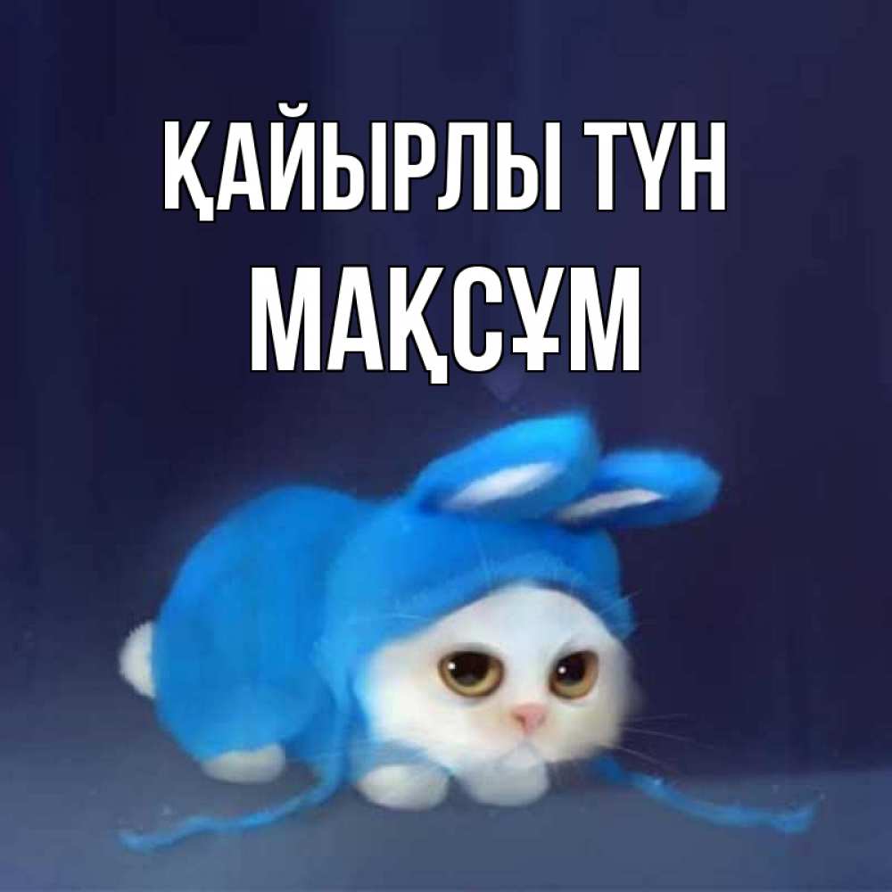 Күн сайын ашық хат с именем, МАҚСҰМ Қайырлы түн кот в голубом костюме кролика с ушками Онлайн тегін жүктеп алу тілектері бар керемет карта 