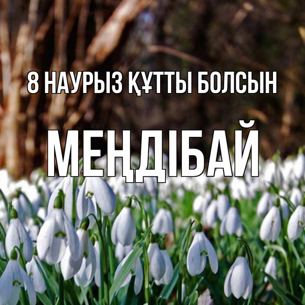 Күн сайын ашық хат с именем, МЕҢДІБАЙ 8 наурыз құтты болсын с подснежниками 1 Онлайн тегін жүктеп алу тілектері бар керемет карта 