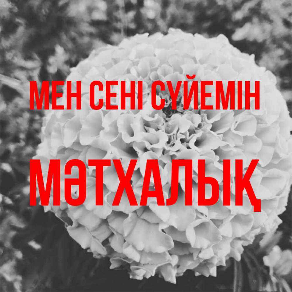 Күн сайын ашық хат с именем, МӘТХАЛЫҚ Мен сені сүйемін подпись Онлайн тегін жүктеп алу тілектері бар керемет карта 