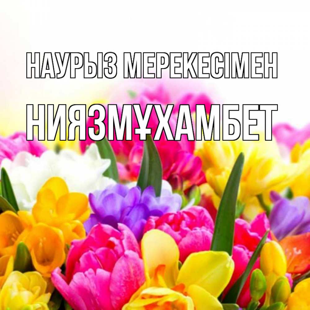 Күн сайын ашық хат с именем, НИЯЗМҰХАМБЕТ Наурыз мерекесімен тюльпаны Онлайн тегін жүктеп алу тілектері бар керемет карта 