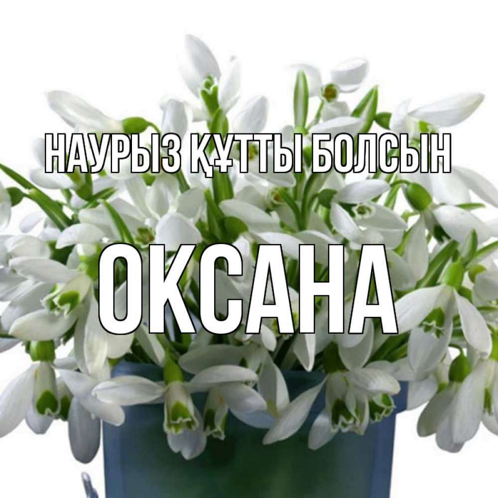 Күн сайын ашық хат с именем, Оксана Наурыз құтты болсын цветы к наурызу Онлайн тегін жүктеп алу тілектері бар керемет карта 