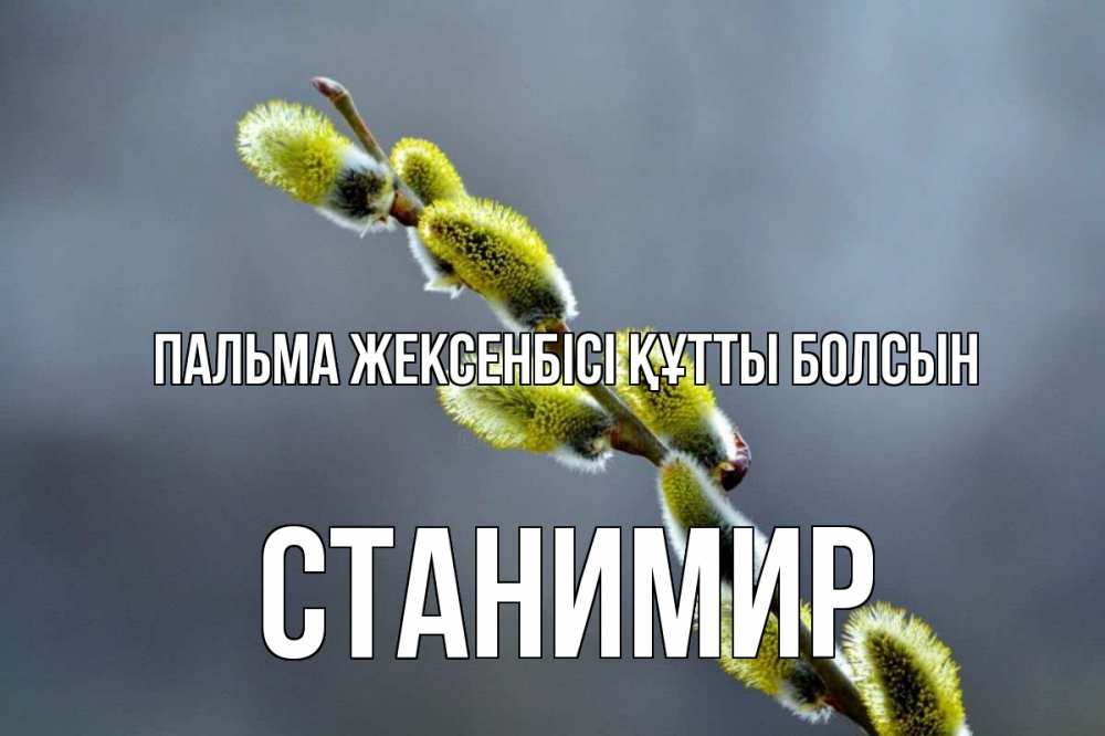 Күн сайын ашық хат с именем, Станимир Пальма жексенбісі құтты болсын верба Онлайн тегін жүктеп алу тілектері бар керемет карта 