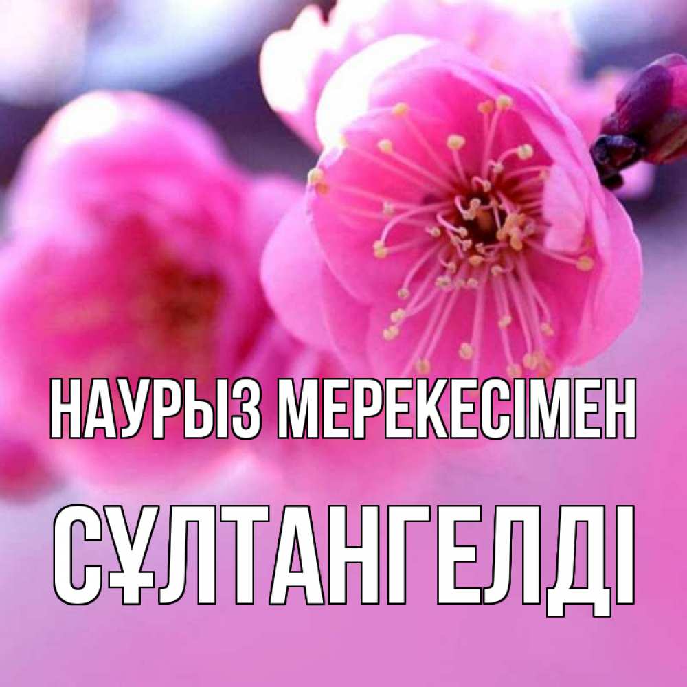 Күн сайын ашық хат с именем, СҰЛТАНГЕЛДІ Наурыз мерекесімен международный женский день Онлайн тегін жүктеп алу тілектері бар керемет карта 