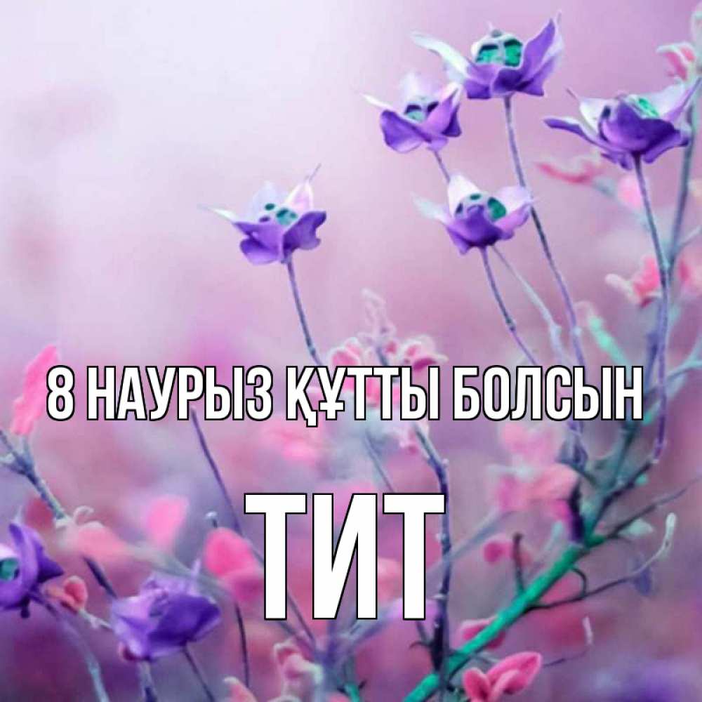 Күн сайын ашық хат с именем, Тит 8 наурыз құтты болсын международный женский день 2 Онлайн тегін жүктеп алу тілектері бар керемет карта 