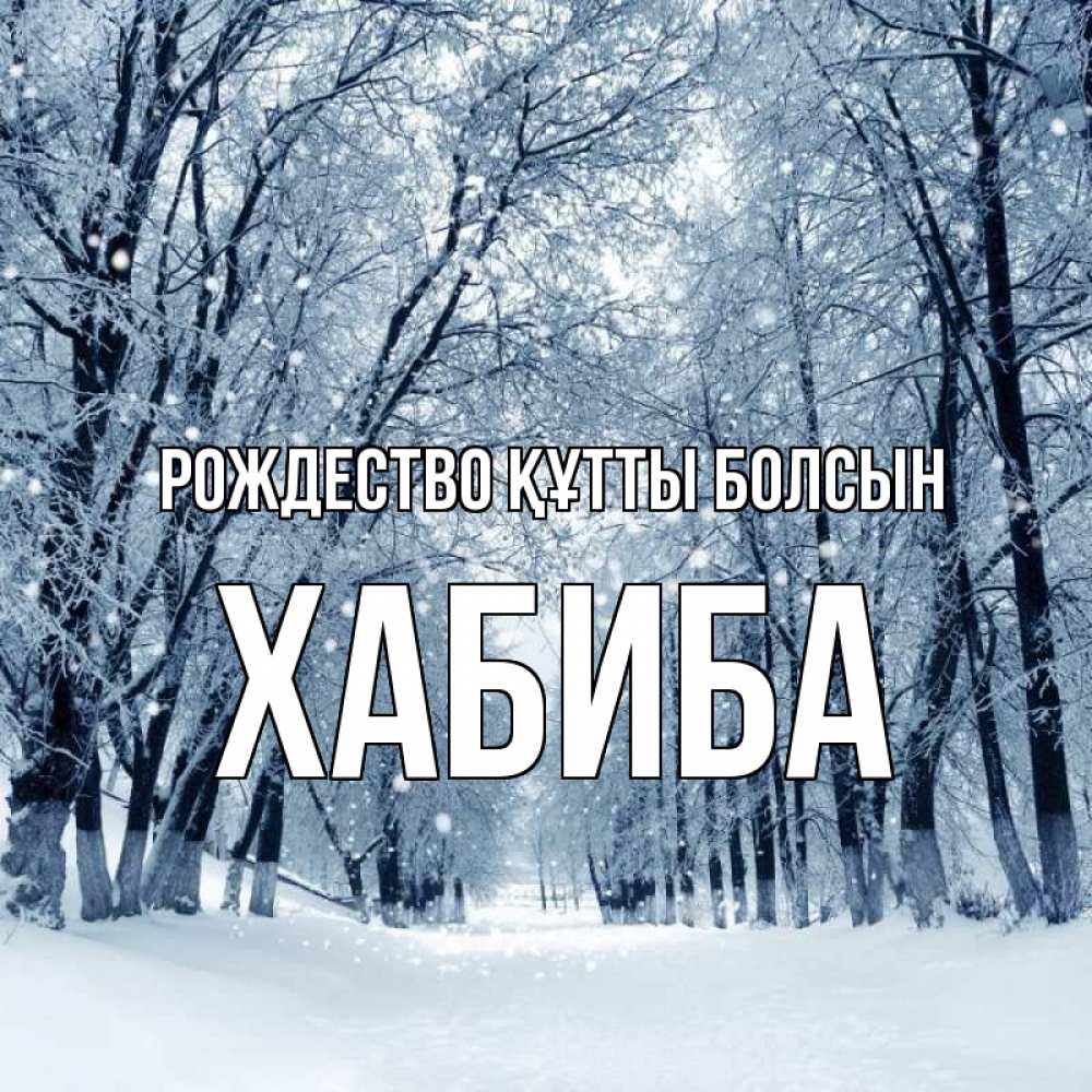 Күн сайын ашық хат с именем, ХАБИБА Рождество құтты болсын снег, лес, парк Онлайн тегін жүктеп алу тілектері бар керемет карта 