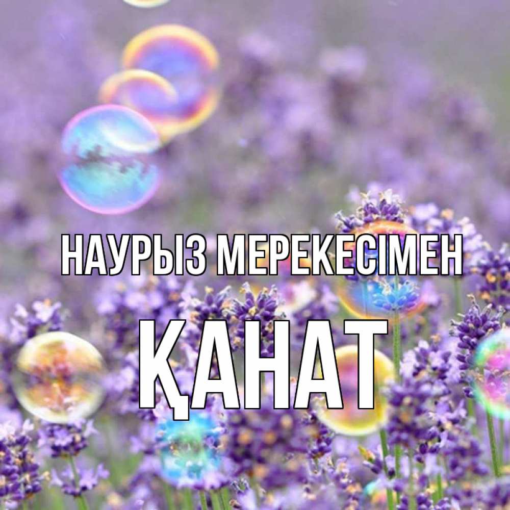Күн сайын ашық хат с именем, Қанат Наурыз мерекесімен цветы Онлайн тегін жүктеп алу тілектері бар керемет карта 