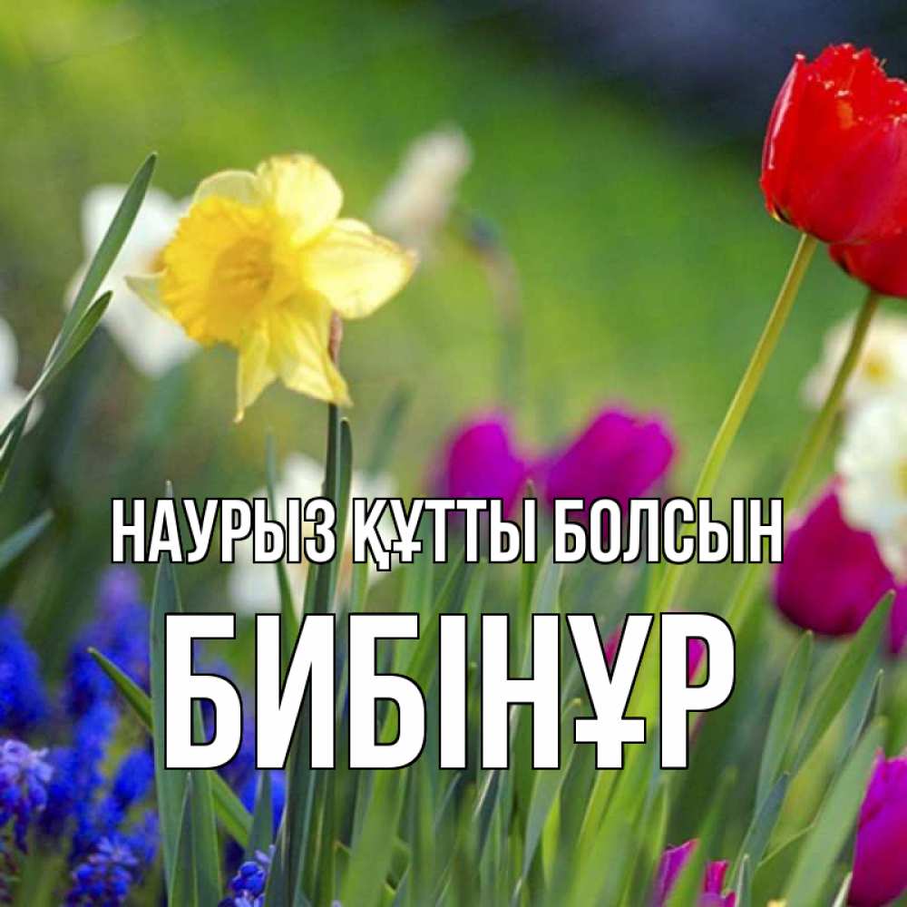 Күн сайын ашық хат с именем, БИБІНҰР Наурыз құтты болсын наурыз  3 открытки Онлайн тегін жүктеп алу тілектері бар керемет карта 