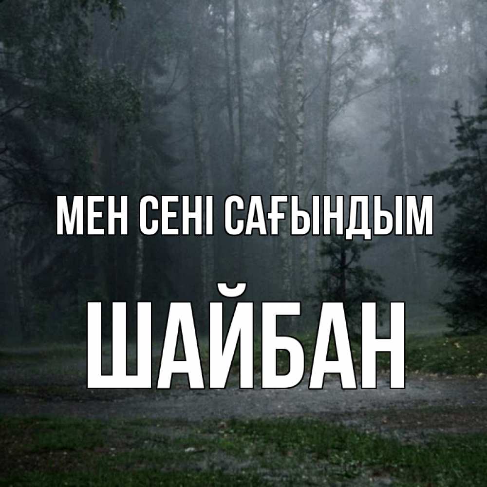 Күн сайын ашық хат с именем, ШАЙБАН Мен сені сағындым одна и плохо мне Онлайн тегін жүктеп алу тілектері бар керемет карта 