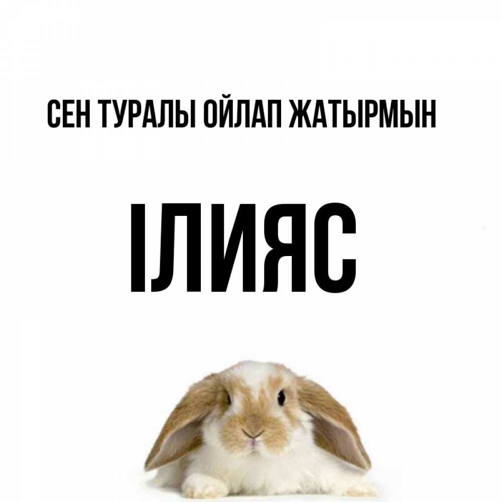 Күн сайын ашық хат с именем, ІЛИЯС Сен туралы ойлап жатырмын подписать своими руками онлайн Онлайн тегін жүктеп алу тілектері бар керемет карта 