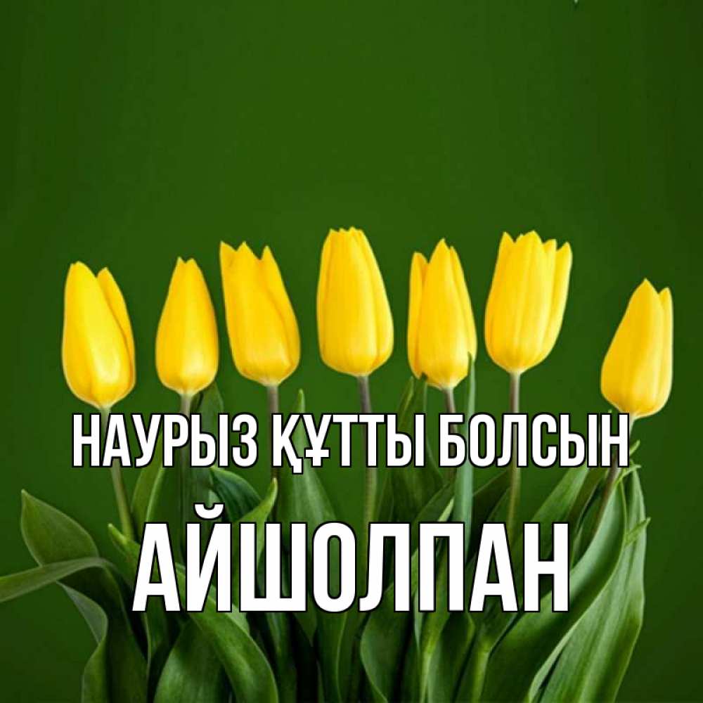 Күн сайын ашық хат с именем, АЙШОЛПАН Наурыз құтты болсын желтого цвета 3 Онлайн тегін жүктеп алу тілектері бар керемет карта 