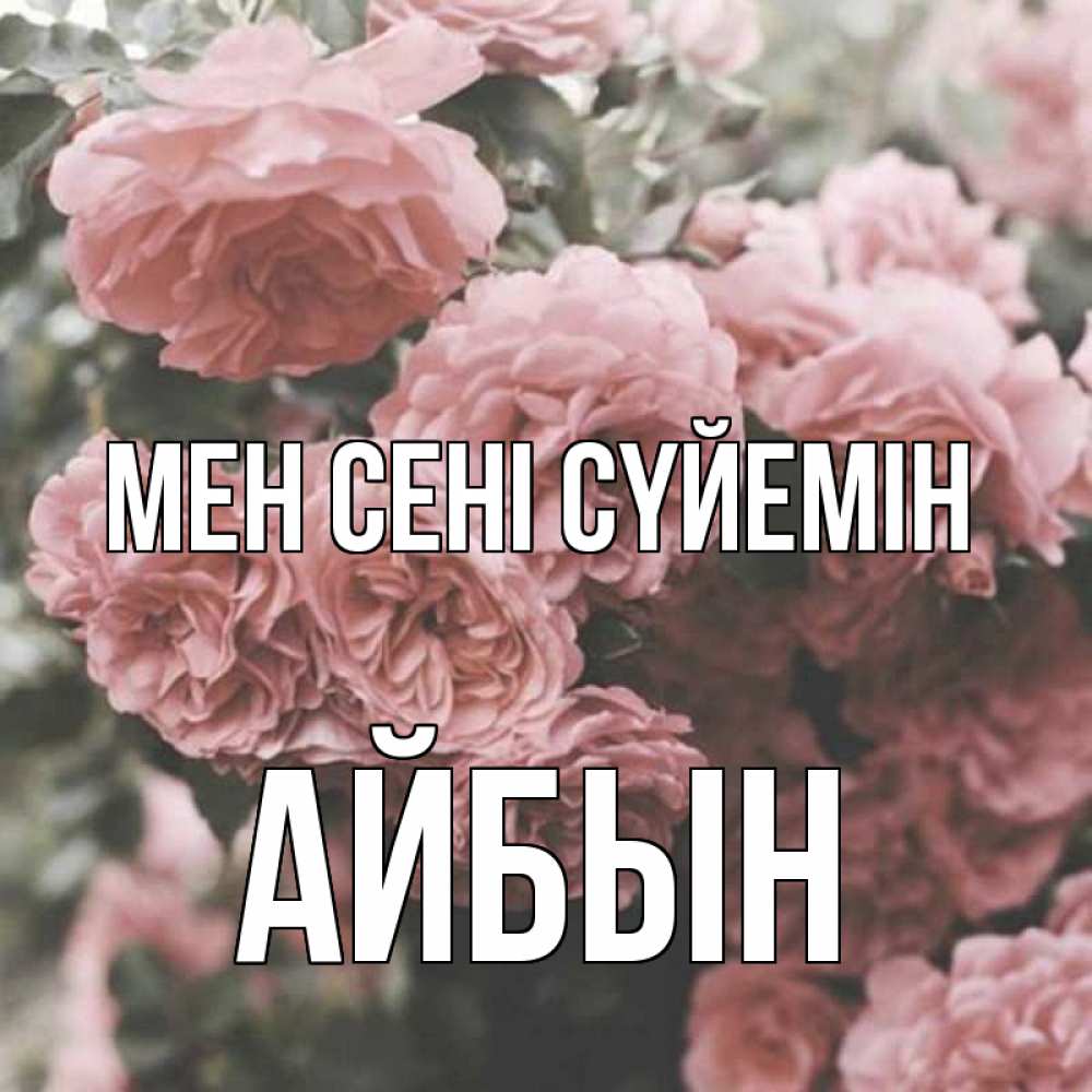 Күн сайын ашық хат с именем, Айбын Мен сені сүйемін розы 3 Онлайн тегін жүктеп алу тілектері бар керемет карта 
