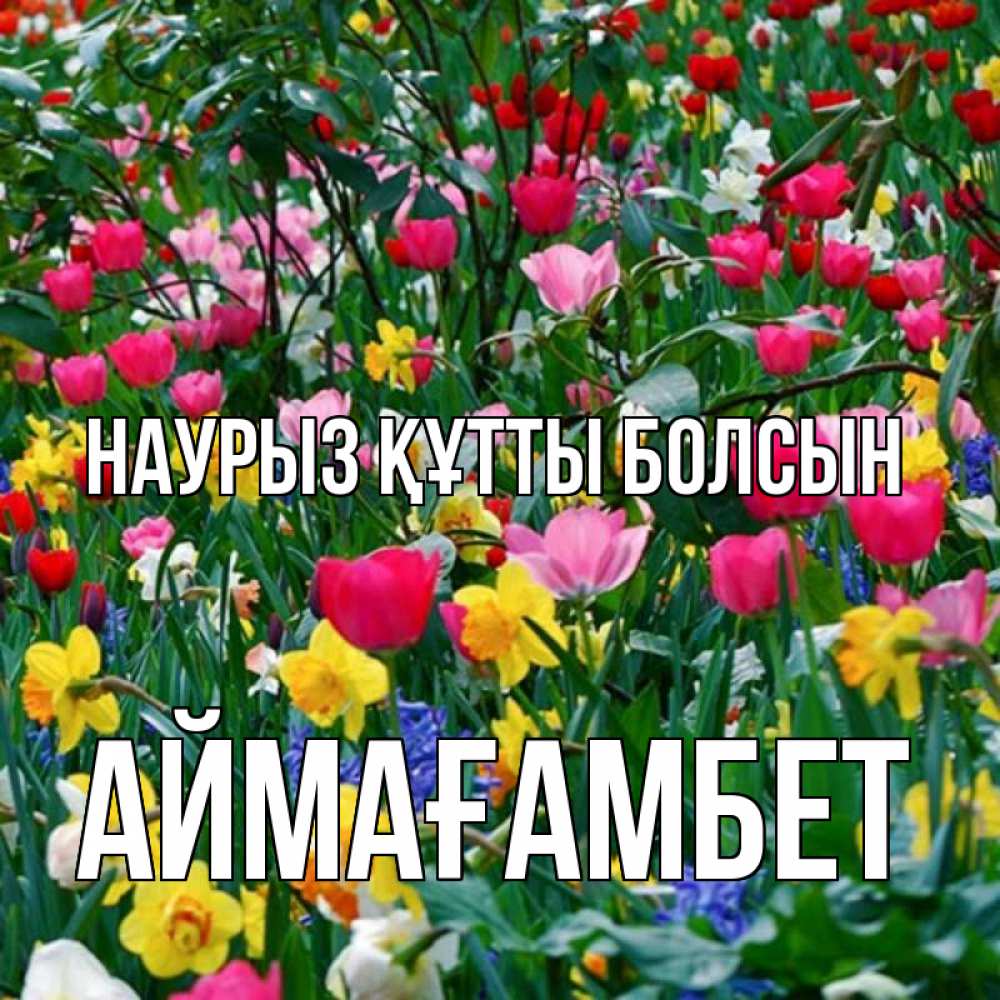 Күн сайын ашық хат с именем, Аймағамбет Наурыз құтты болсын с наурызом поздравления для женщины Онлайн тегін жүктеп алу тілектері бар керемет карта 