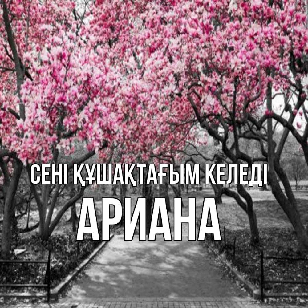 Күн сайын ашық хат с именем, Ариана сені құшақтағым келеді обработанное фото Онлайн тегін жүктеп алу тілектері бар керемет карта 
