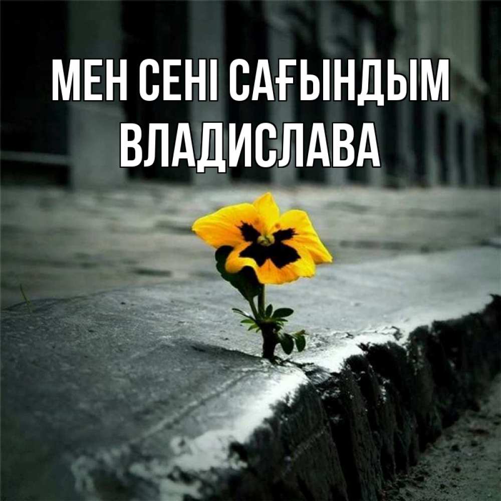 Күн сайын ашық хат с именем, Владислава Мен сені сағындым надеюсь будет лучше Онлайн тегін жүктеп алу тілектері бар керемет карта 