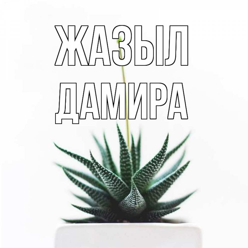 Күн сайын ашық хат с именем, ДАМИРА Жазыл короче это непонятная колючка Онлайн тегін жүктеп алу тілектері бар керемет карта 