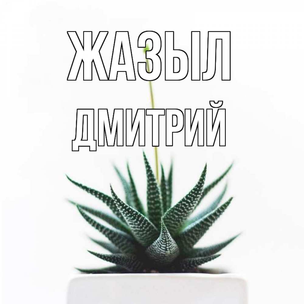 Күн сайын ашық хат с именем, Дмитрий Жазыл короче это непонятная колючка Онлайн тегін жүктеп алу тілектері бар керемет карта 