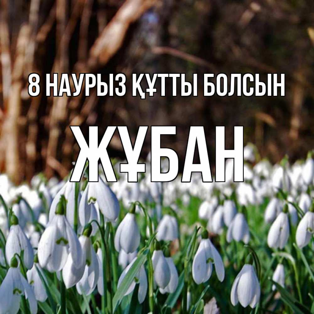 Күн сайын ашық хат с именем, Жұбан 8 наурыз құтты болсын с подснежниками 1 Онлайн тегін жүктеп алу тілектері бар керемет карта 