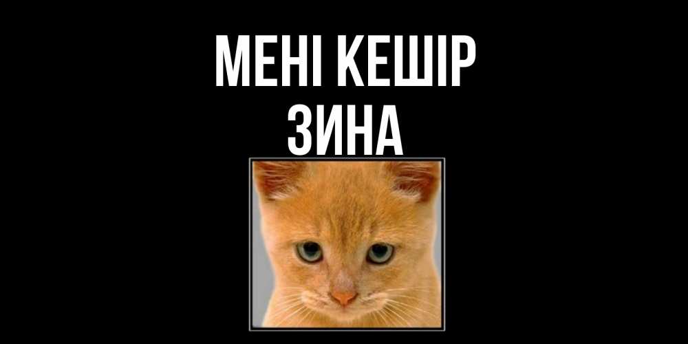 Күн сайын ашық хат с именем, Зина Мені кешір рыжий грустный кот просит прощения Онлайн тегін жүктеп алу тілектері бар керемет карта 