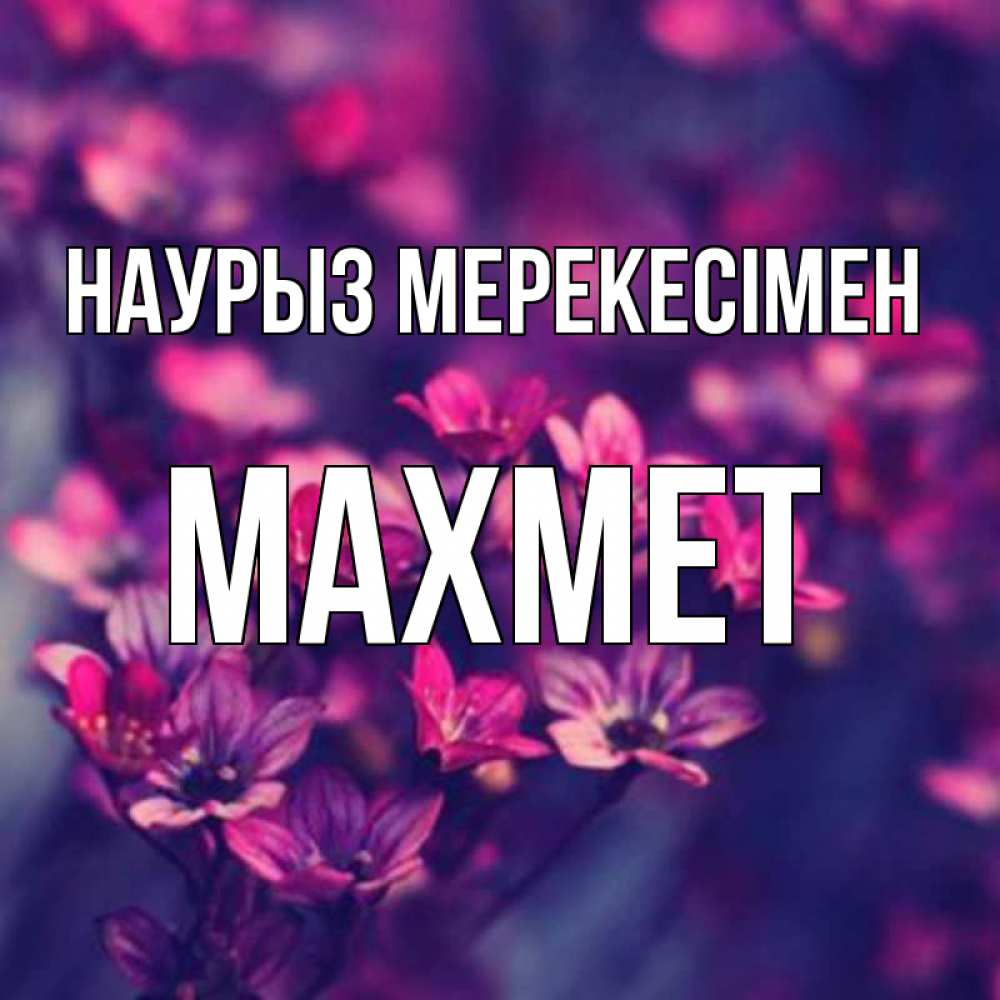 Күн сайын ашық хат с именем, МАХМЕТ Наурыз мерекесімен небольшие цветы 1 Онлайн тегін жүктеп алу тілектері бар керемет карта 