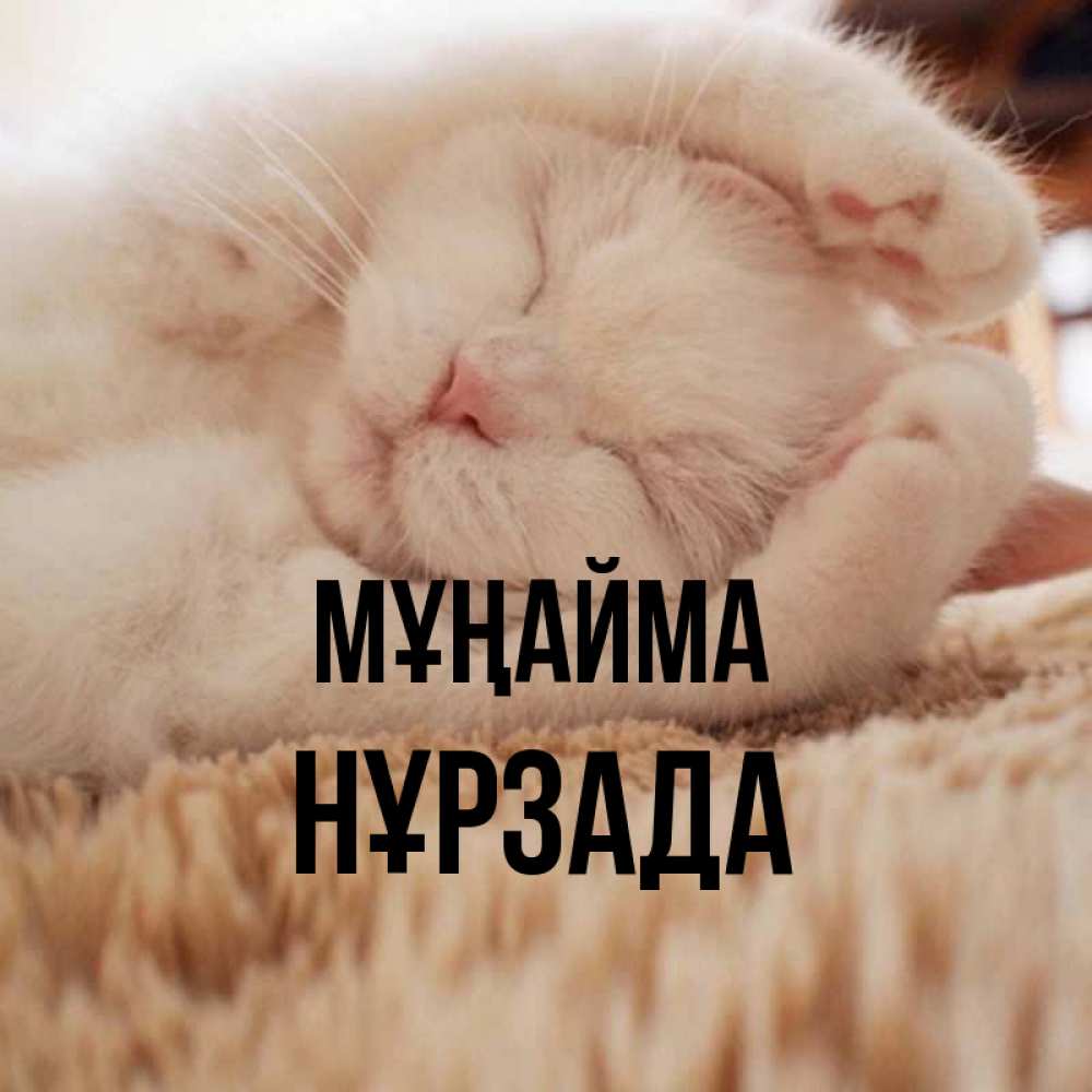 Күн сайын ашық хат с именем, НҰРЗАДА Мұңайма Котенок спит Онлайн тегін жүктеп алу тілектері бар керемет карта 
